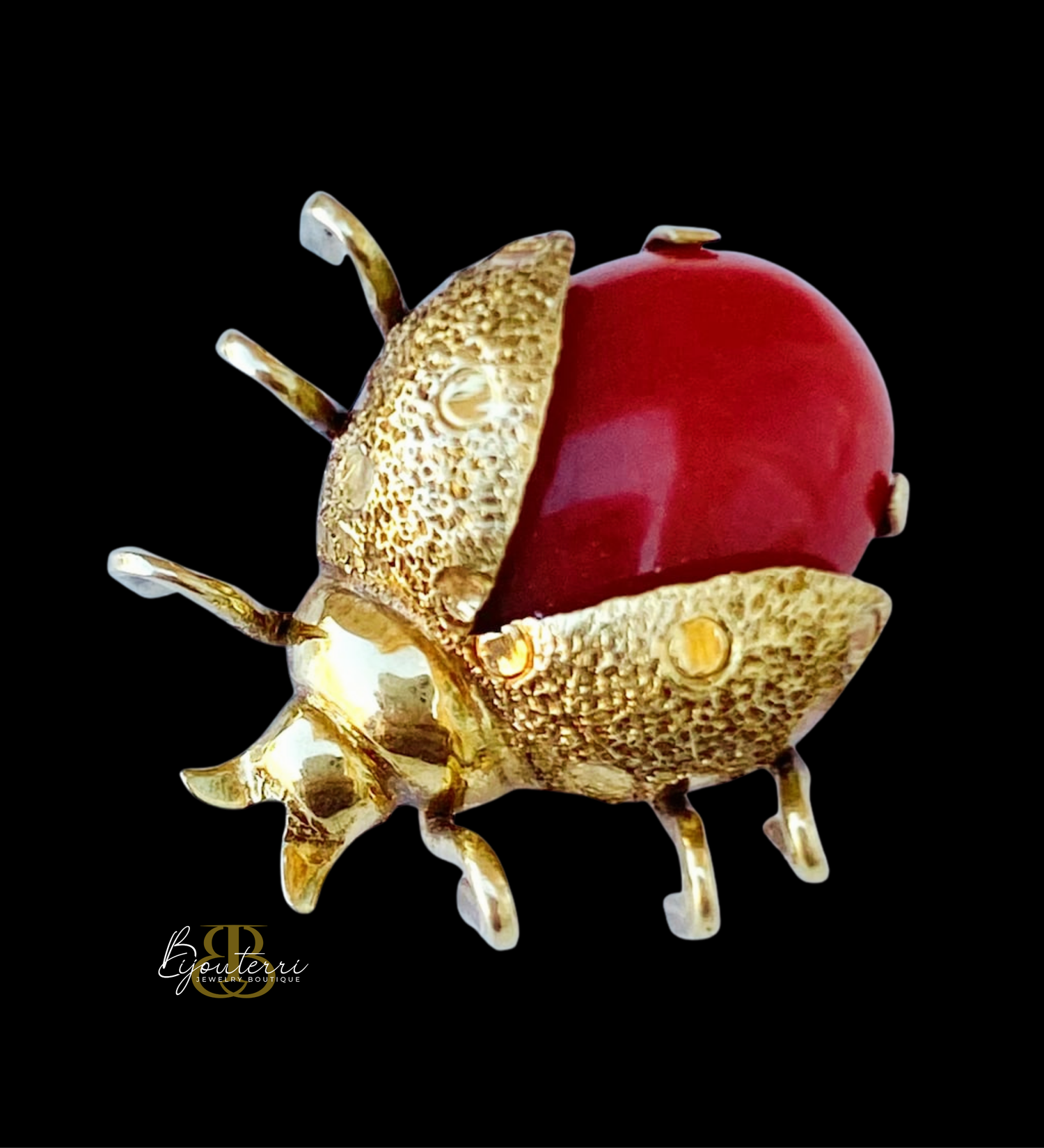 Brooches & Pins