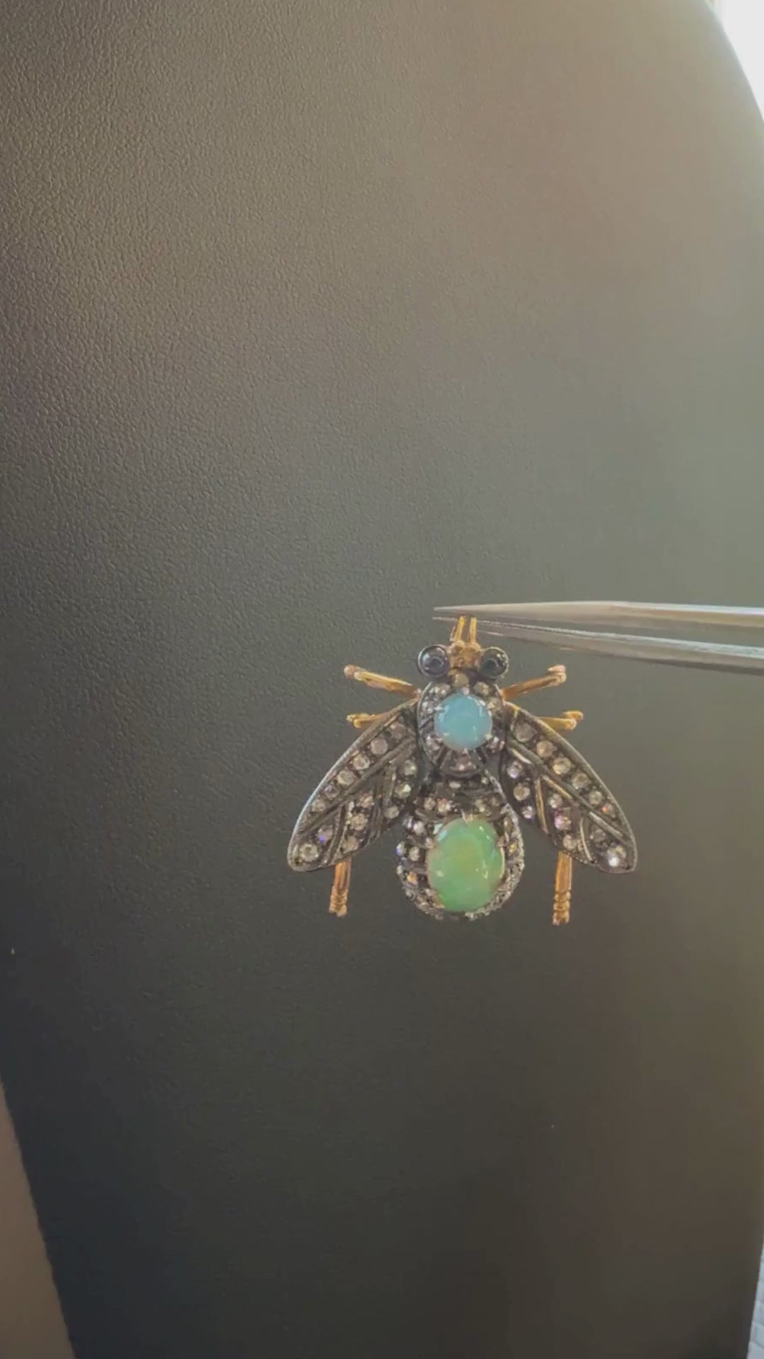 Notice how the head and wings move